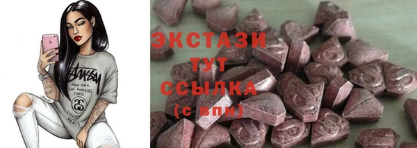 прущие грибы Елизово