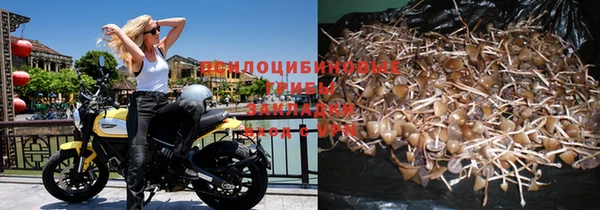 альфа пвп VHQ Дмитриев