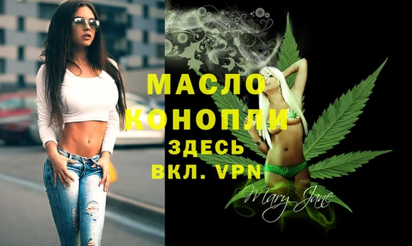 2c-b Ельня