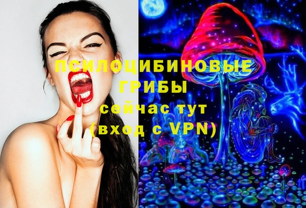 2c-b Ельня