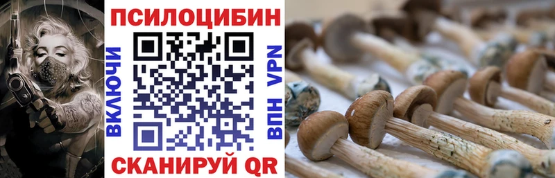 Галлюциногенные грибы Cubensis  Купить закладки  Зерноград 